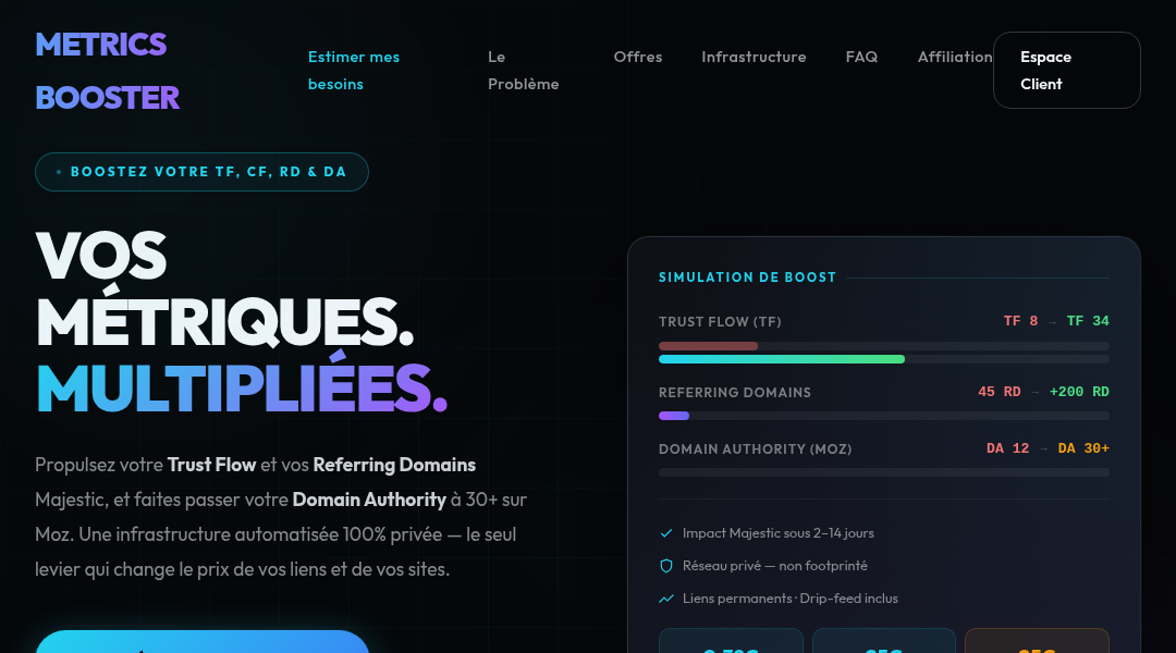 Aperçu du site Metrics Booster